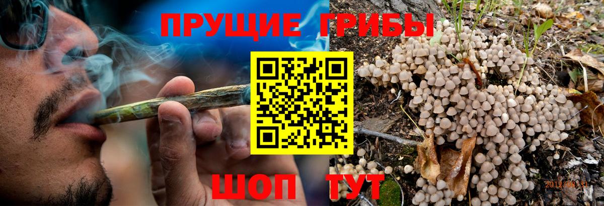 Псилоцибиновые грибы ЛСД  Псилоцибиновые грибы Cubensis  Вход с VPN  Грозный 